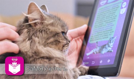 [App Store] СаМЯУчитель: учимся говорить на кошачьем