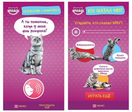 [App Store] СаМЯУчитель: учимся говорить на кошачьем