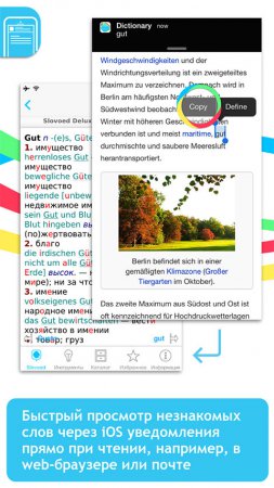 [App Store] Словари Slovoed с функцией мгновенного поиска + Конкурс!