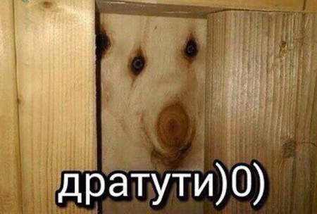 Опубликован ТОП-5 самых популярных мемов "ВКонтакте"