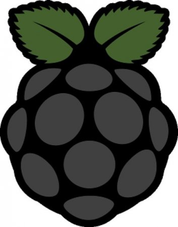 Новый троян для Linux превращает Raspberry Pi в ферму