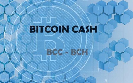 Bitcoin Cash (BTC / USD) достигает новых максимумов в связи с ростом популярности
