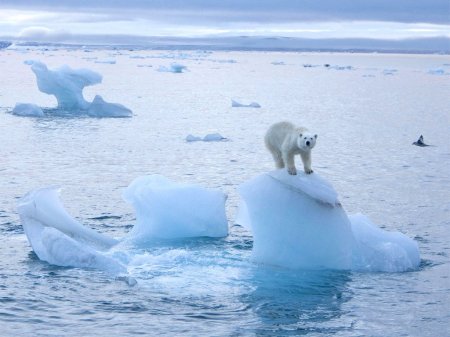 Арктика тает, Россия и Европа замерзают 
