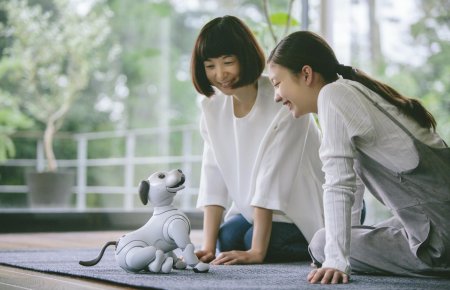 «Театр абсурда»: Sony заменила живого щенка на бездушного робота