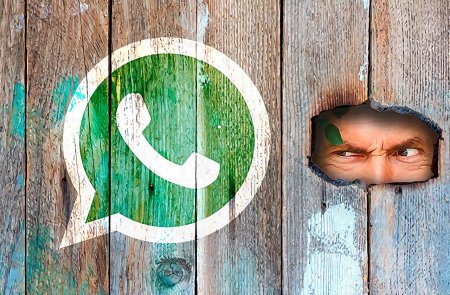 Разработчики WhatsApp могут выпустить бесполезную функцию