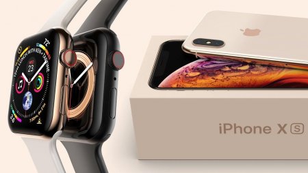 Гибрид iPhone XS и Apple Watch стоимостью 1,4 млн рублей создали в России