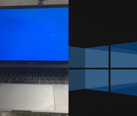 Microsoft массово ломает компьютеры? Новое обновление для Windows 10 выводит из строя видеокарты