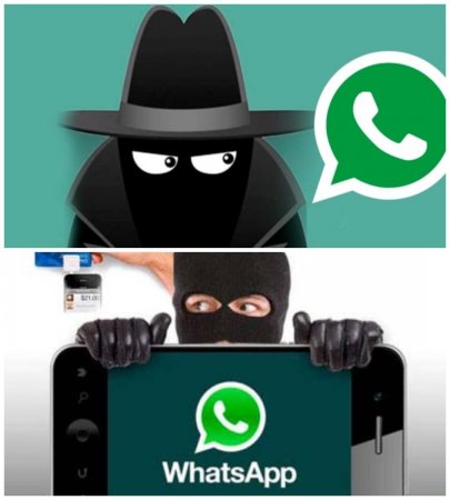 Бесплатный трафик только в мышеловке: В WhatsApp обнаружен новый вид мошенничества