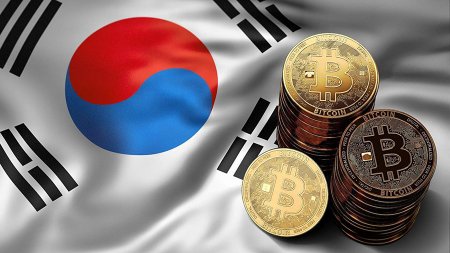 Исследование: 97% бирж криптовалют Южной Кореи под угрозой банкротства