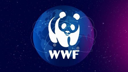 ConsenSys и WWF запустили благотворительную платформу
