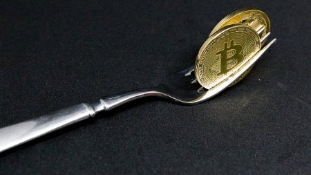 В сети Bitcoin Cash прошел хардфорк и добавлены подписи Шнорра