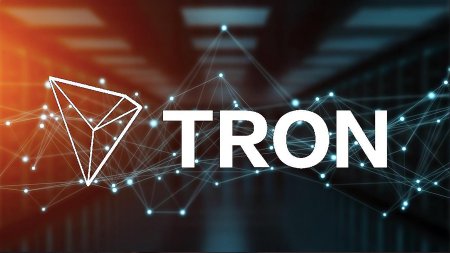 Tron внедрит технологию конфиденциальности TRONZ на основе zk-SNARK