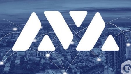 Ava Labs запускает программу грантов для разработчиков