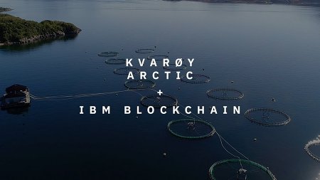 Норвежский производитель лосося Kvarøy Arctic присоединился к блокчейн-платформе IBM Food Trust