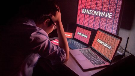 McAfee: «вирус-вымогатель NetWalker принес хакерам $25 млн за 4 месяца»