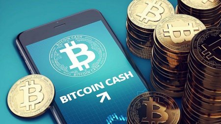 Клиент BCHN доминирует перед форком сети Bitcoin Cash