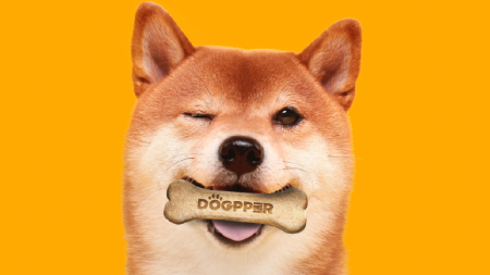 Burger King Brazil выпустил печенье для собак с оплатой в DOGE