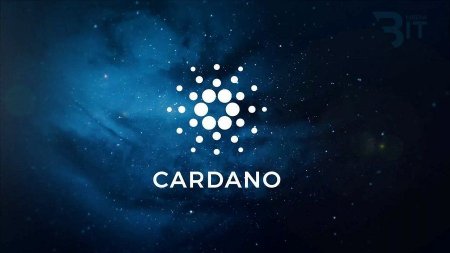 Strait Brands будет отслеживать алкогольную продукцию с помощью блокчейна Cardano
