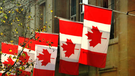 Две трети канадцев хотят получать зарплату в криптовалютах
