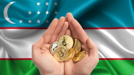 В Узбекистане установили ежемесячные сборы в бюджет для криптовалютных компаний