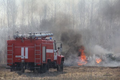 Специалисты ТПУ улучшают российскую систему обнаружения лесных пожаров