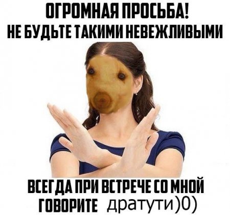 Опубликован ТОП-5 самых популярных мемов "ВКонтакте"